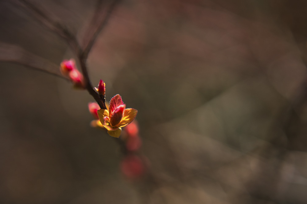 Platz 9 Harald Unglert